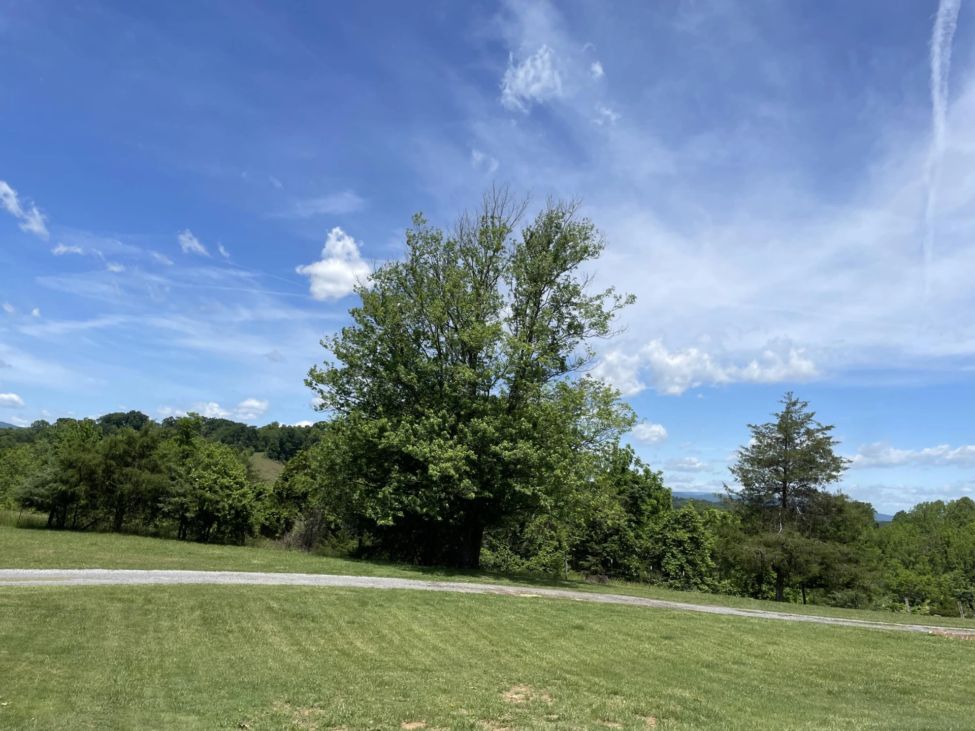 229 Rader RD - Photo 21