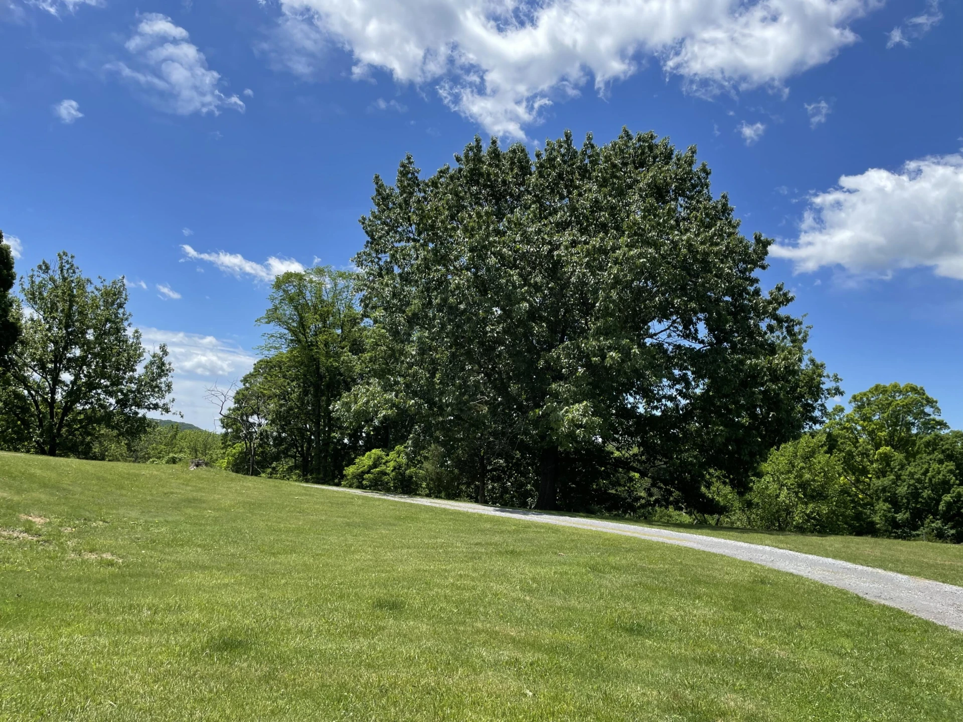 229 Rader RD - Photo 23