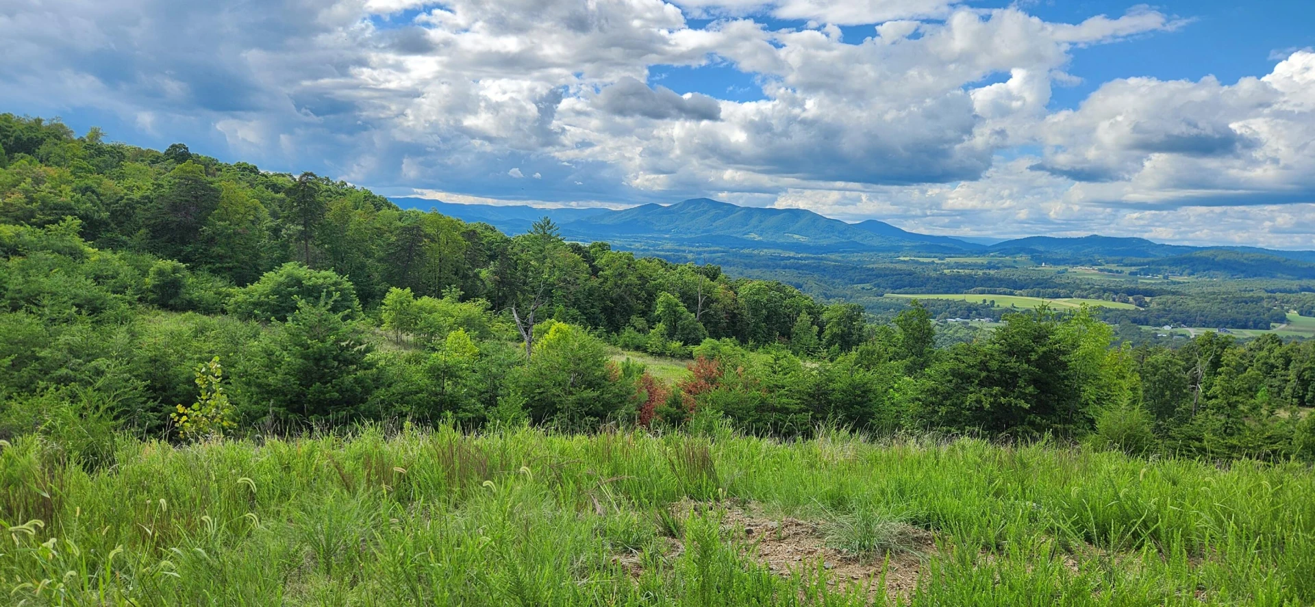 Lot 69 Penny LN - Photo 2
