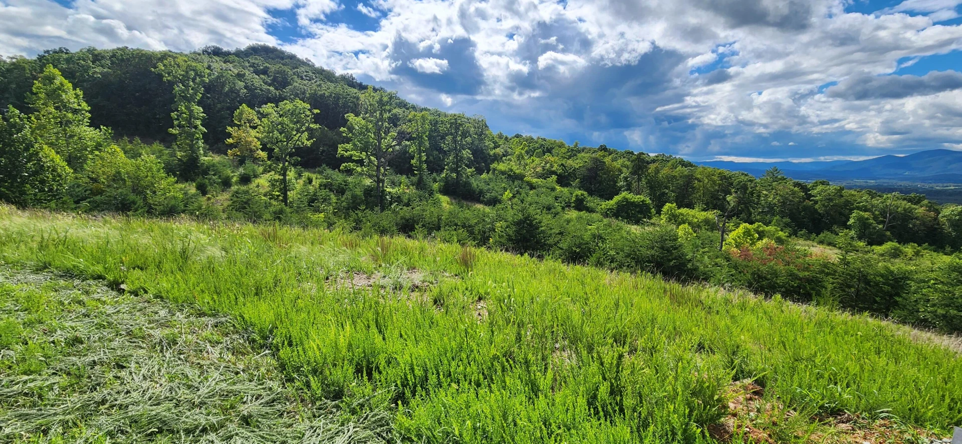 Lot 69 Penny LN - Photo 4