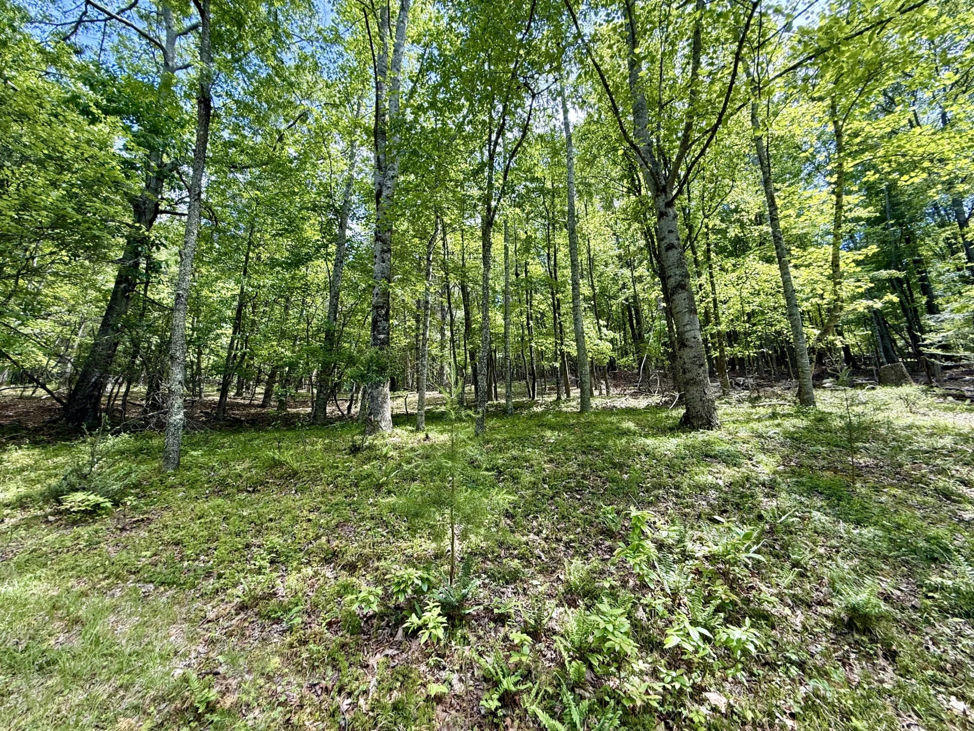 7750 Dicks Creek RD - Photo 26