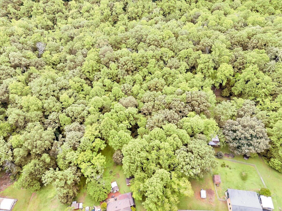 4131 Rutrough RD - Photo 41