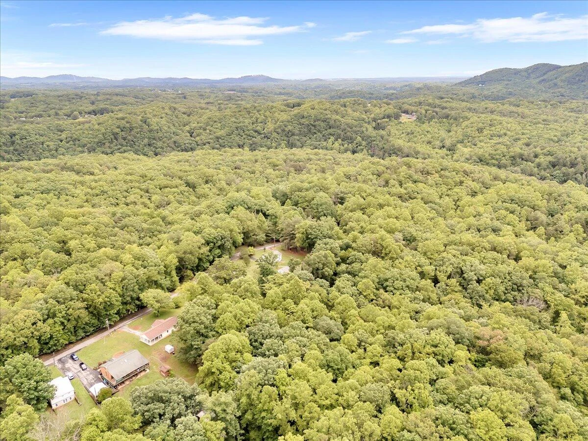 4131 Rutrough RD - Photo 43