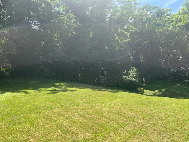 202 College ST - Photo 14