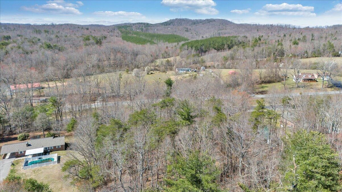 LOT 0 Virgil H Goode Hwy - Photo 15