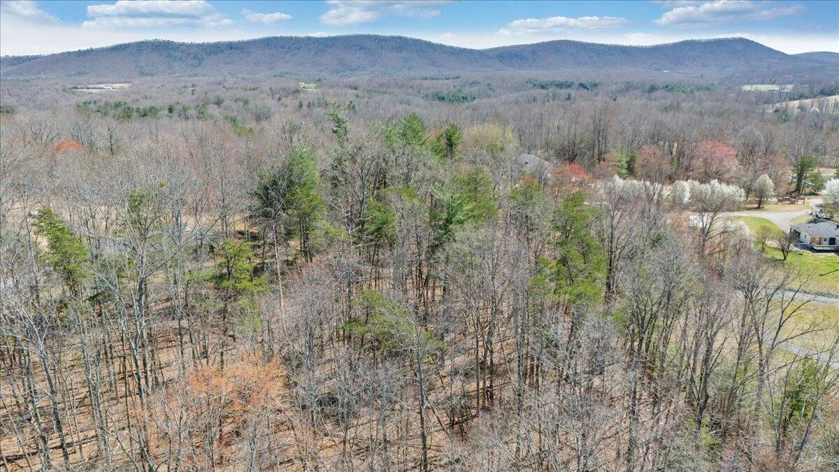 LOT 0 Virgil H Goode Hwy - Photo 22