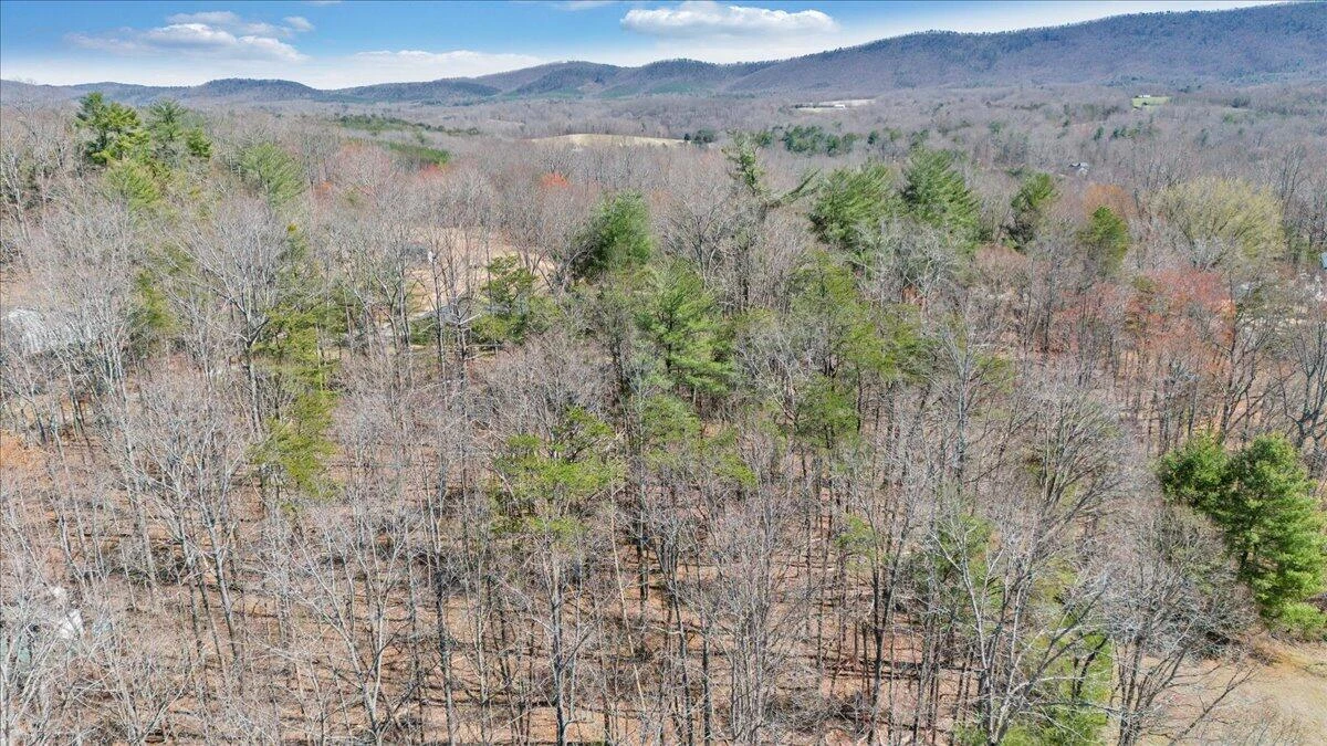 LOT 0 Virgil H Goode Hwy - Photo 23