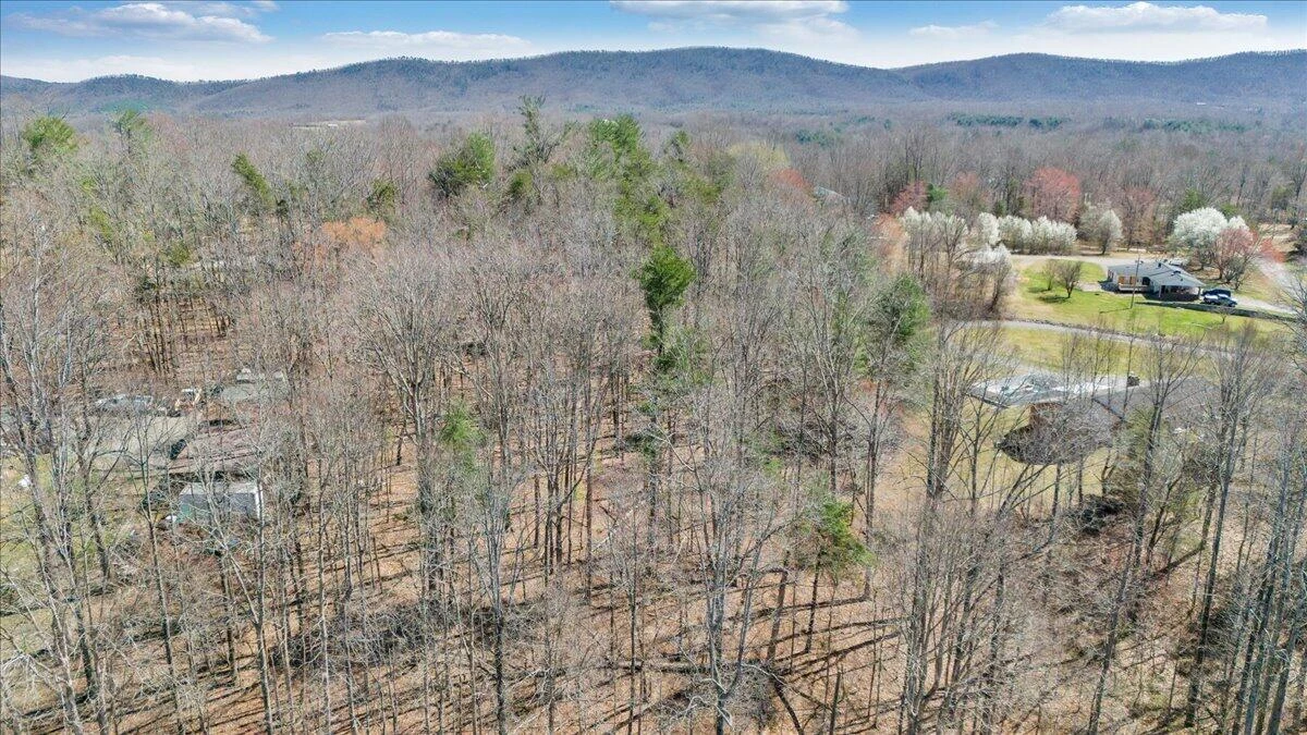LOT 0 Virgil H Goode Hwy - Photo 3