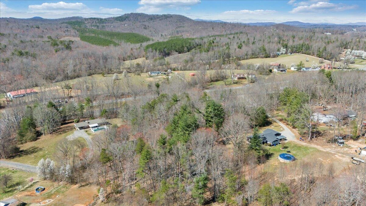 LOT 0 Virgil H Goode Hwy - Photo 4