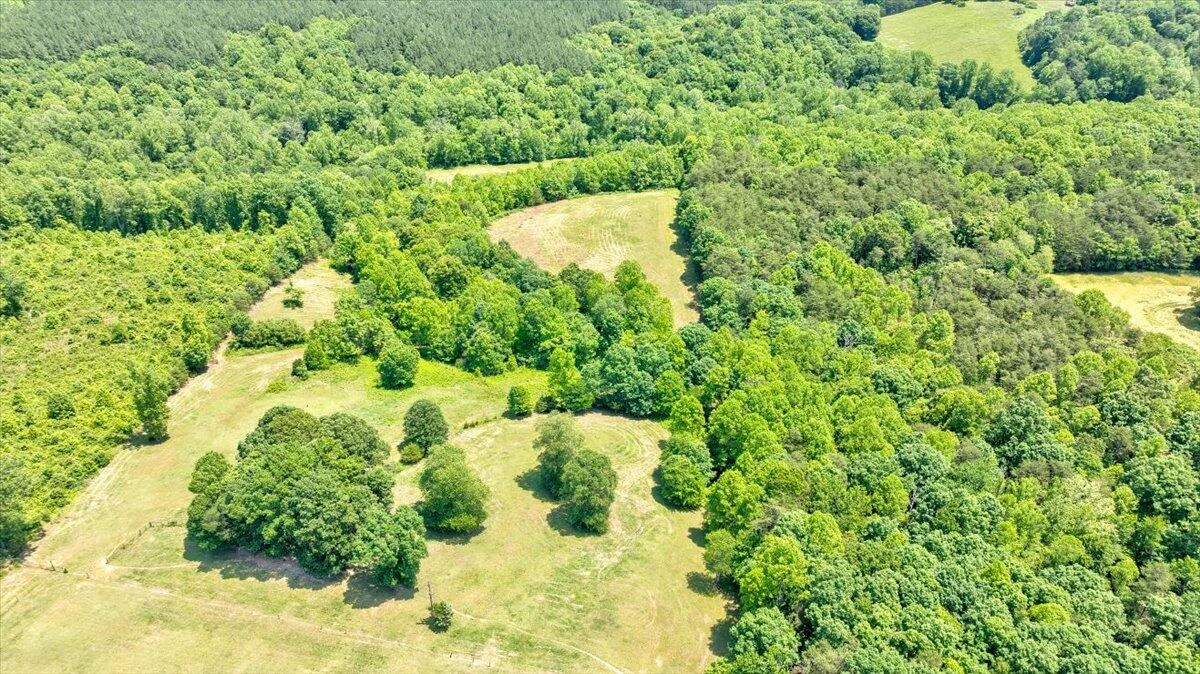 560 Tomahawk Mill RD - Photo 58