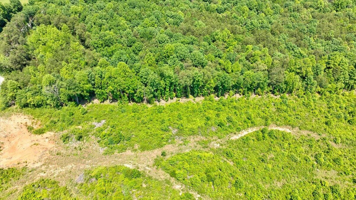 560 Tomahawk Mill RD - Photo 59
