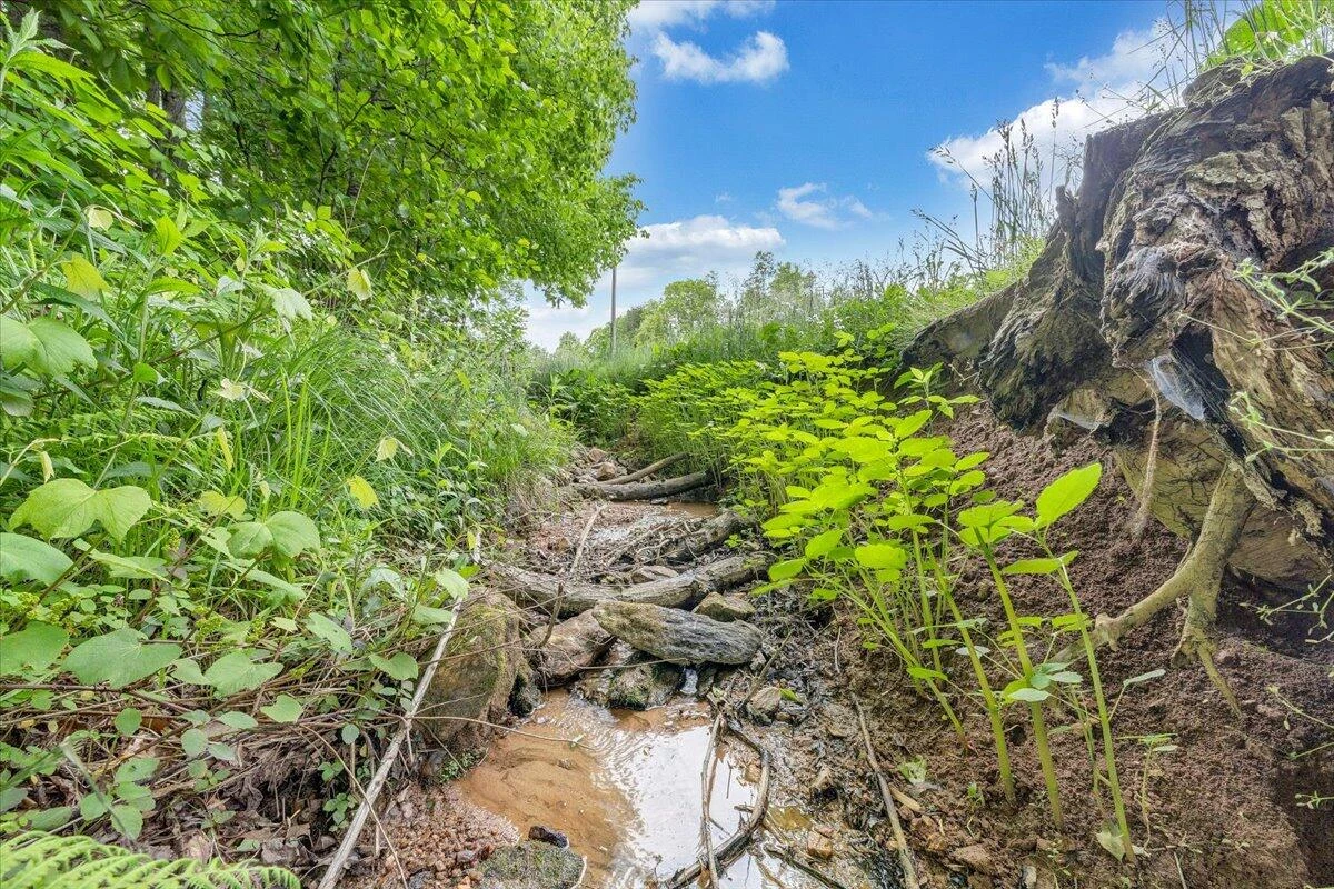 208 Mat RD - Photo 34