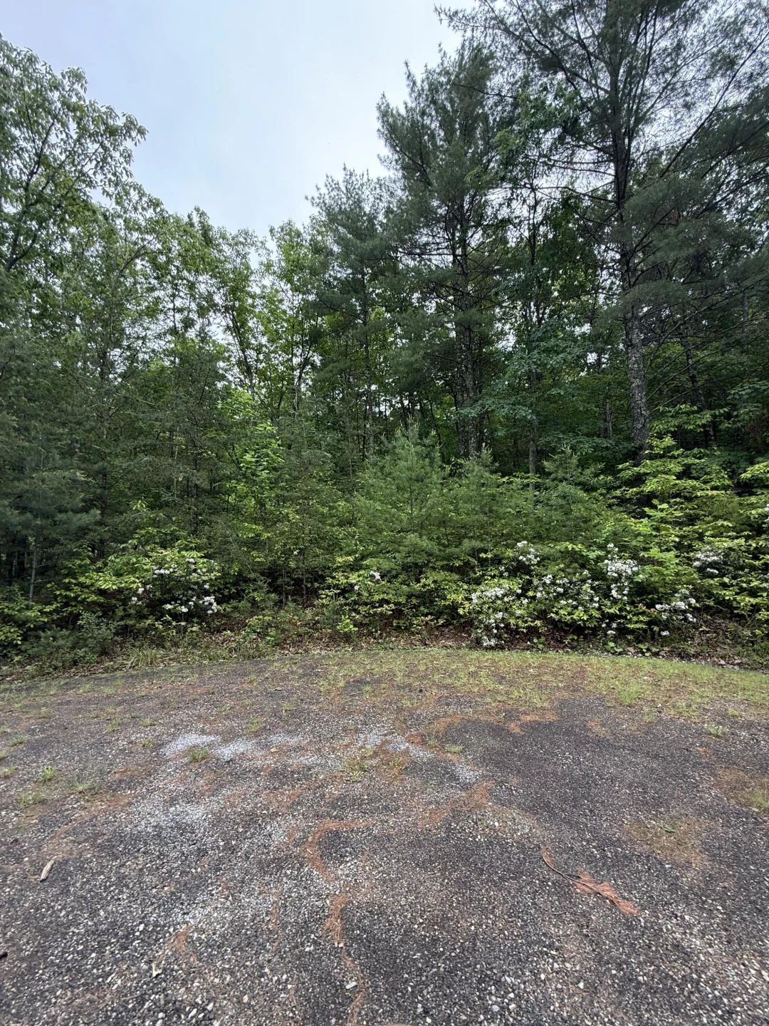 Lot 5 Galax RD