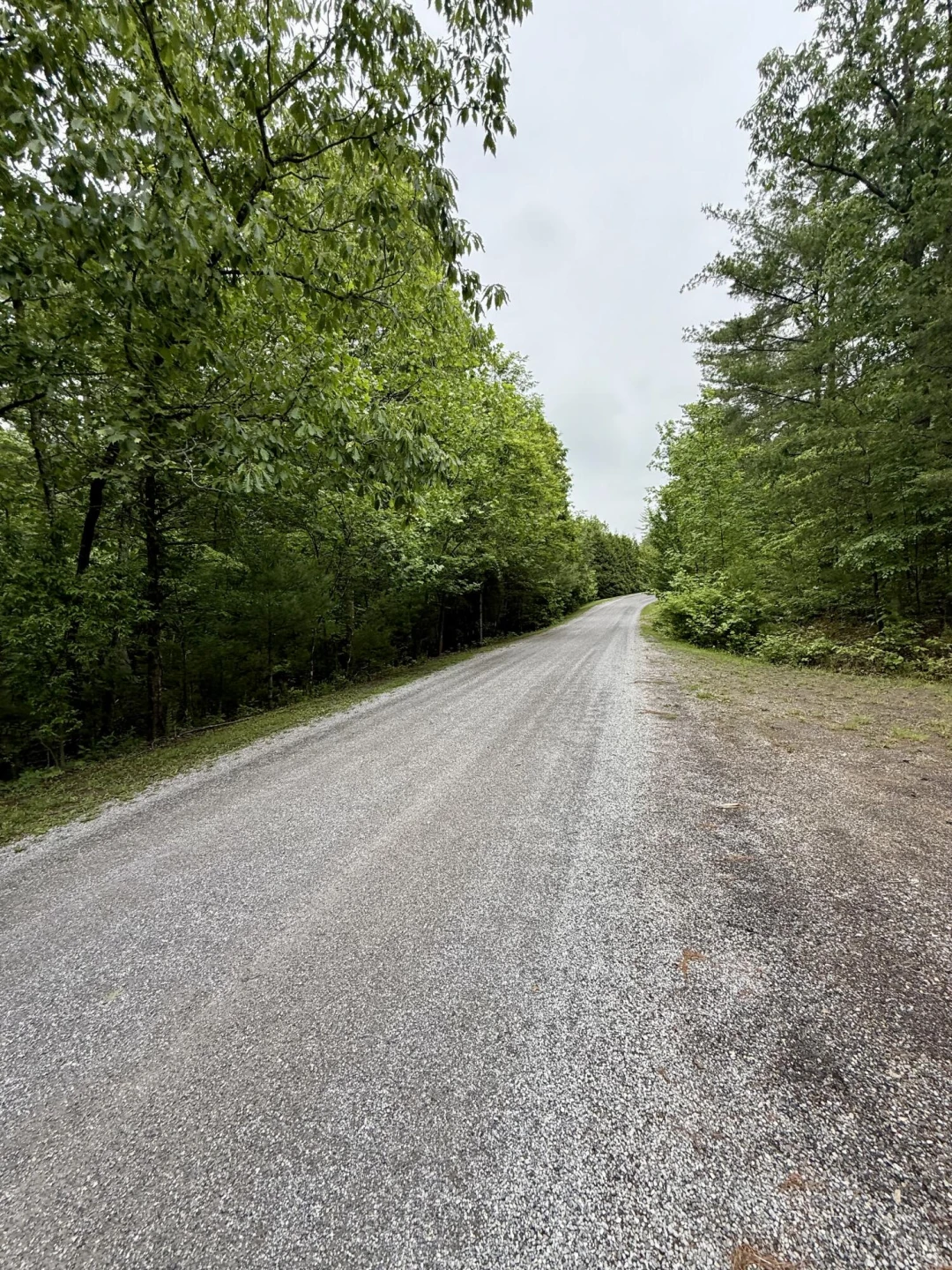 Lot 5 Galax RD - Photo 2