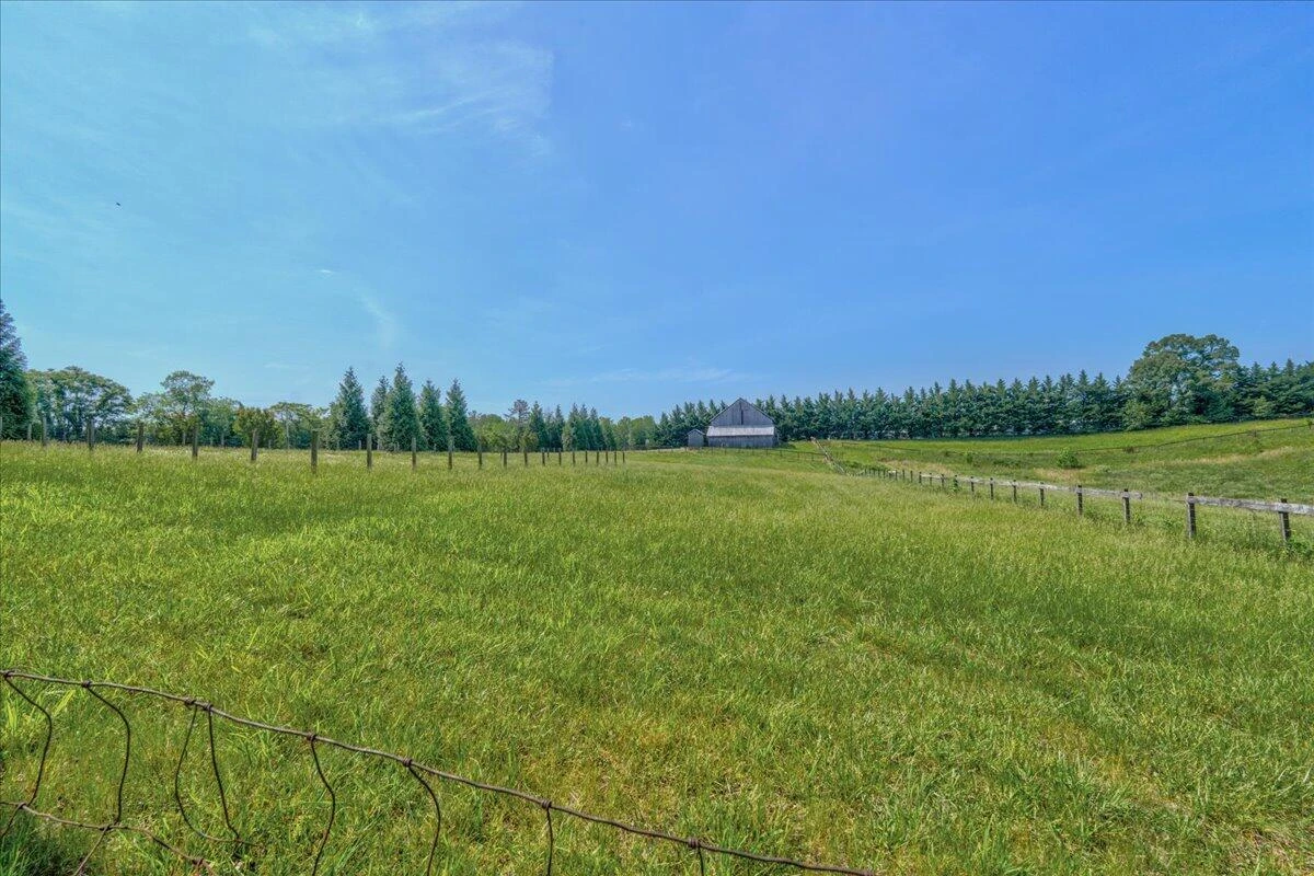 453 Wirtz RD - Photo 69