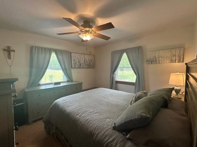586 Graceland DR - Photo 19