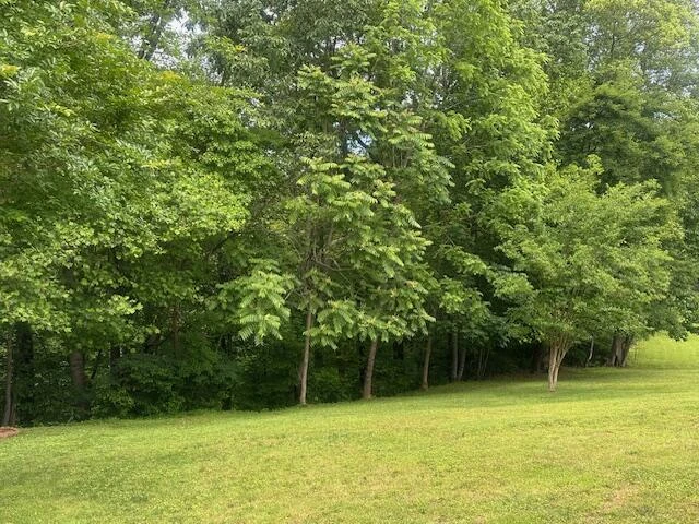 586 Graceland DR - Photo 34