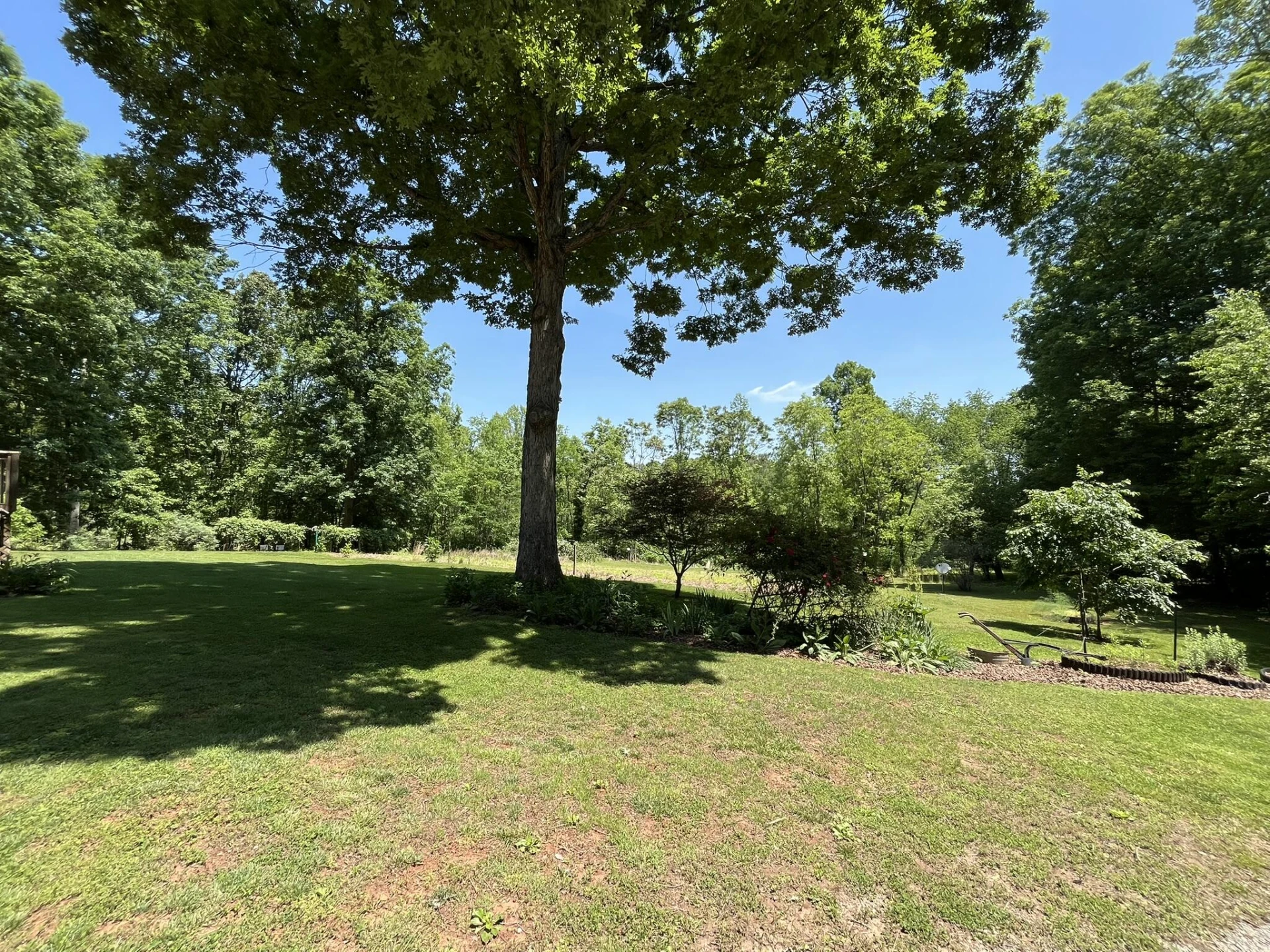 154 Snowden LN - Photo 43