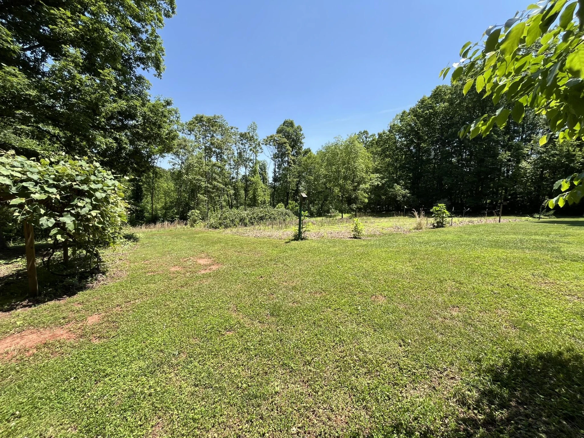 154 Snowden LN - Photo 46