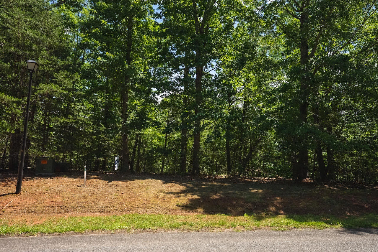 0 Runaway Bay RD - Photo 10