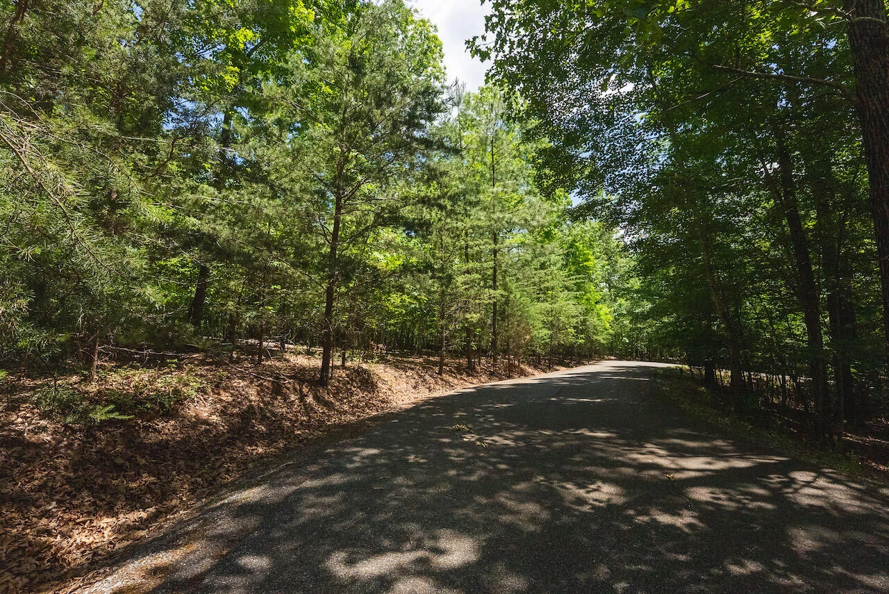 0 Runaway Bay RD - Photo 15