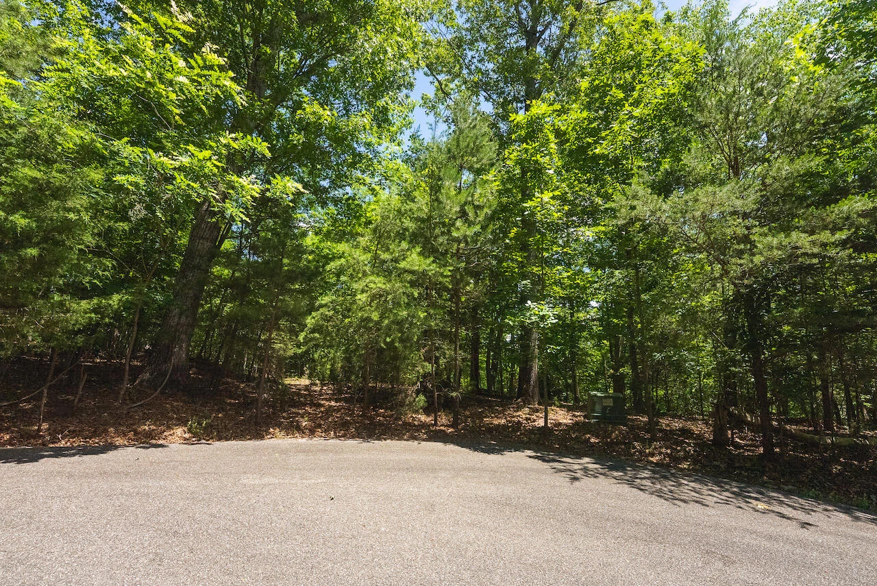 0 Runaway Bay RD - Photo 16