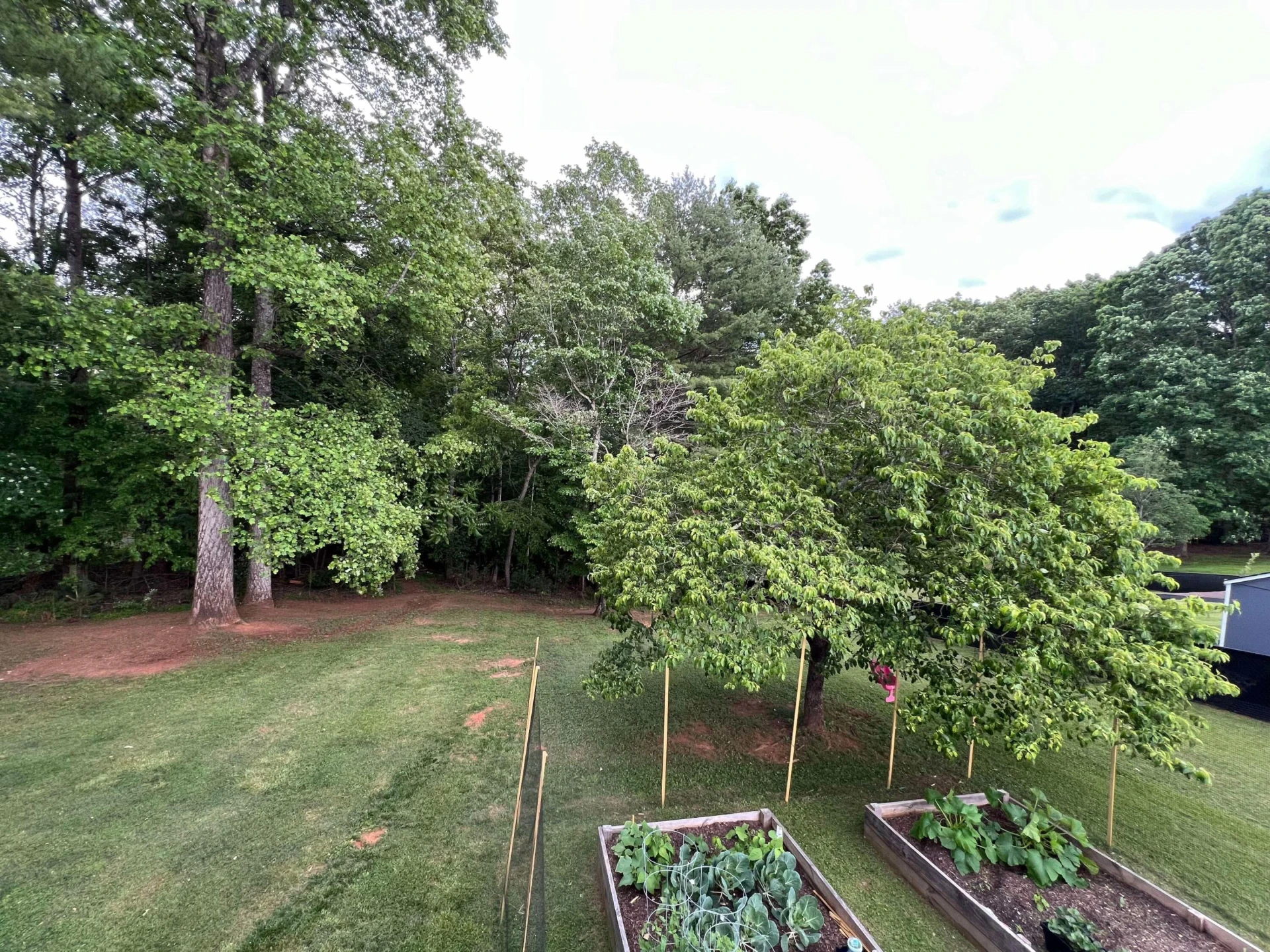 360 Rakes RD - Photo 30