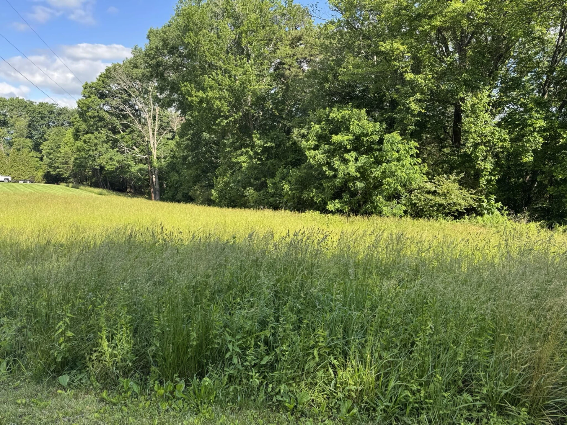 0 Green Level RD