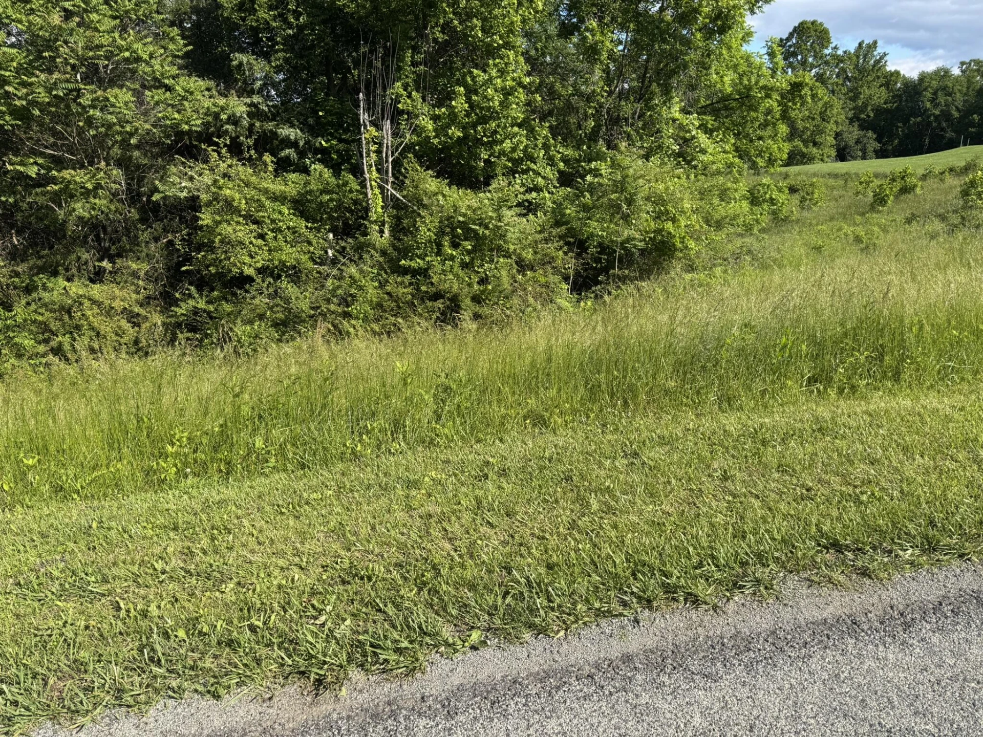0 Green Level RD - Photo 2