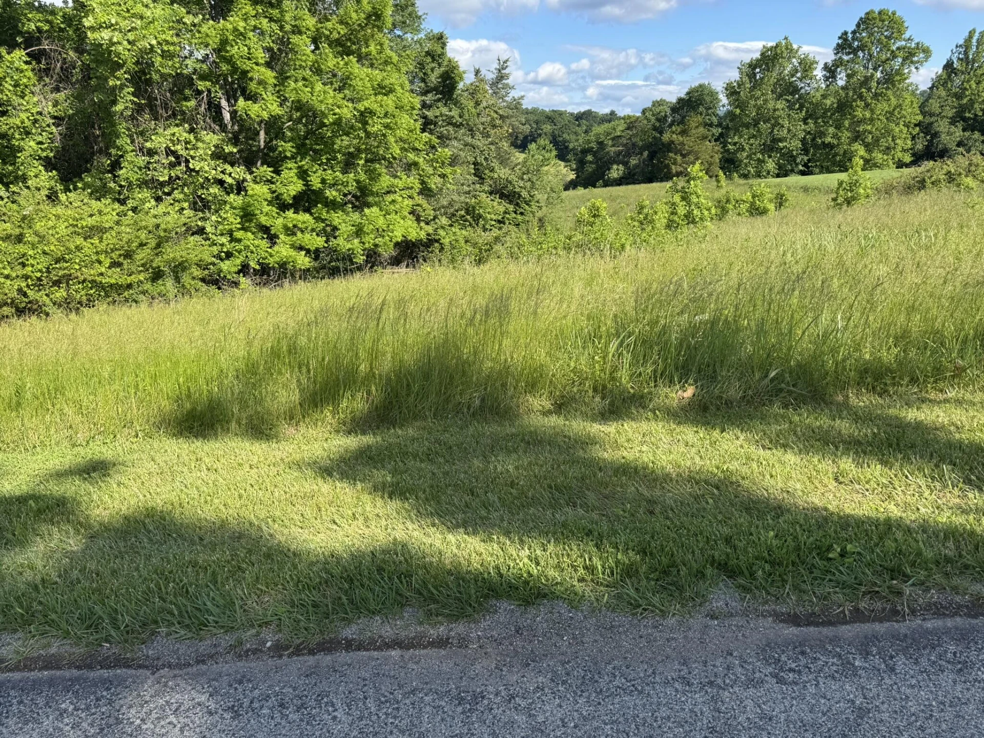 0 Green Level RD - Photo 3
