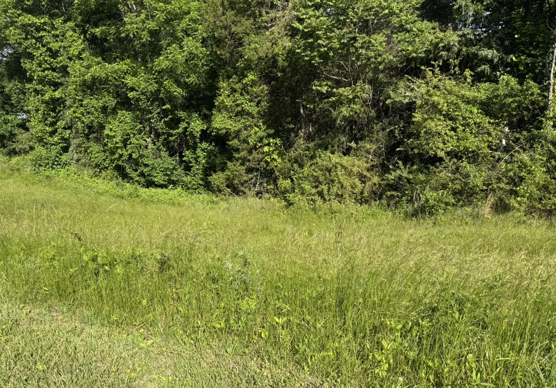 0 Green Level RD - Photo 4