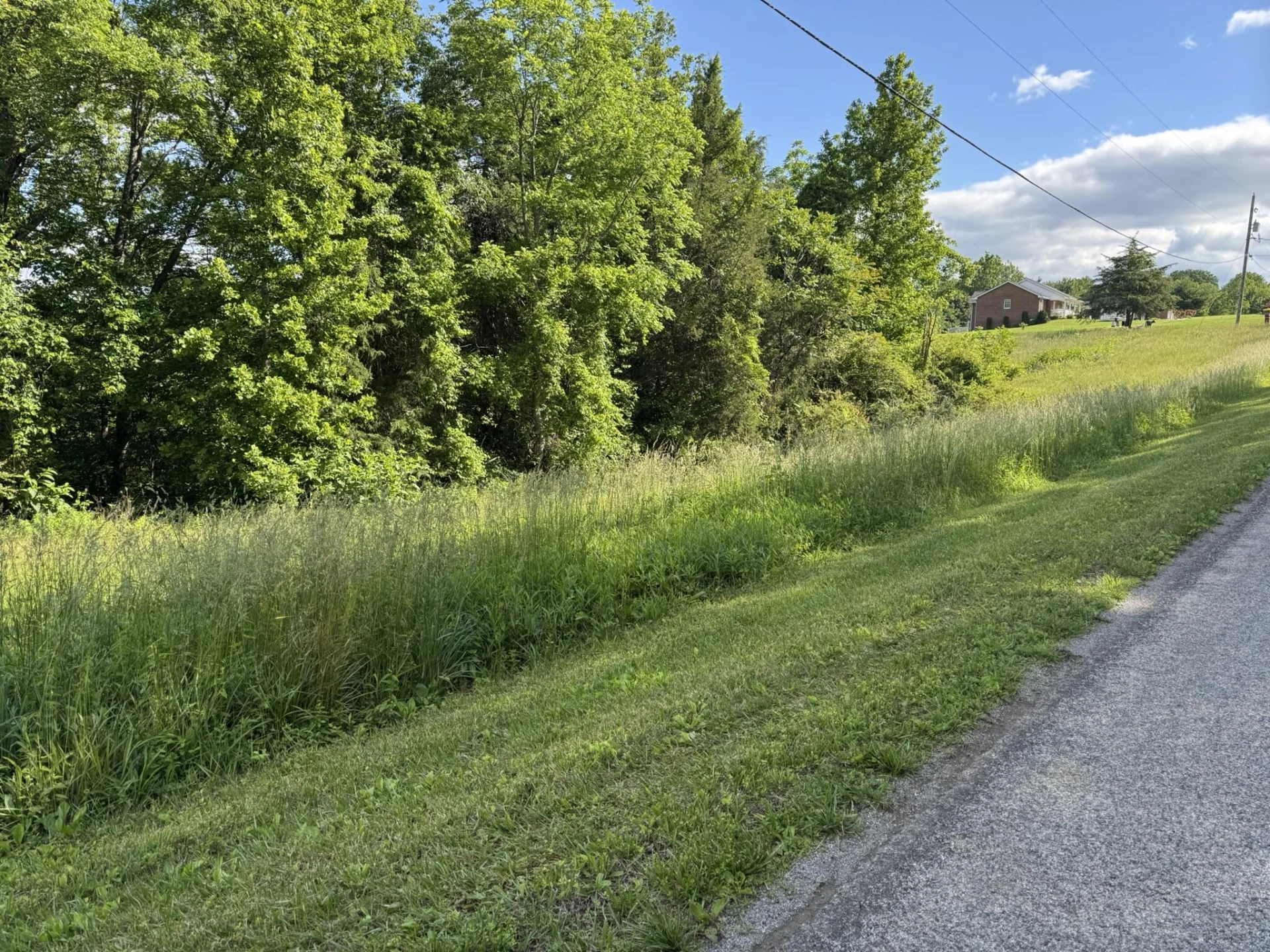 0 Green Level RD - Photo 5