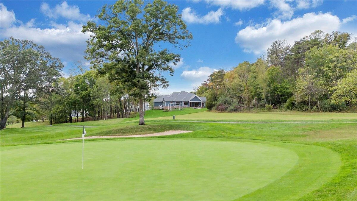 31 Flagstick CT - Photo 94