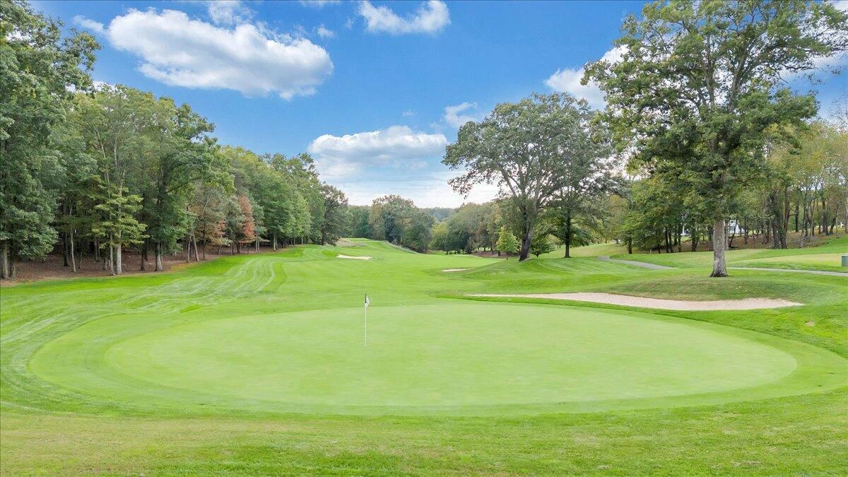 31 Flagstick CT - Photo 95