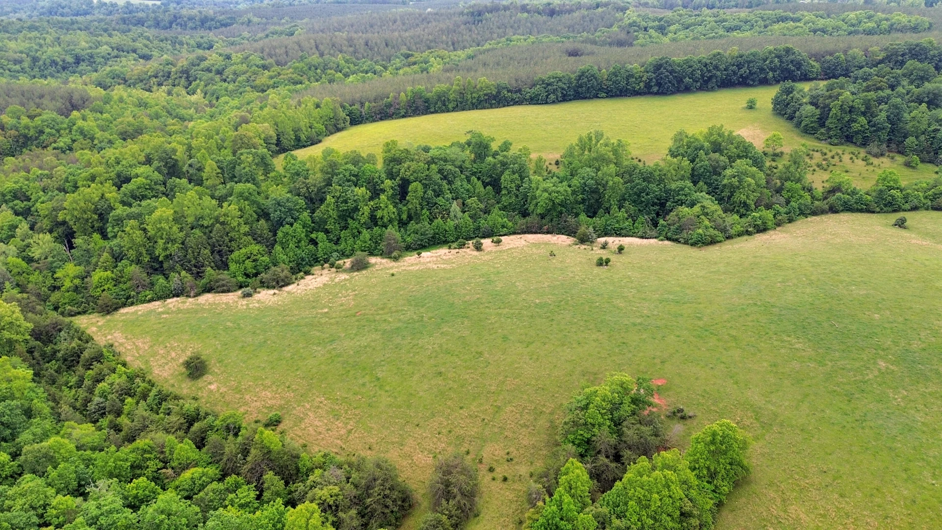 4178 Headens Bridge RD - Photo 101