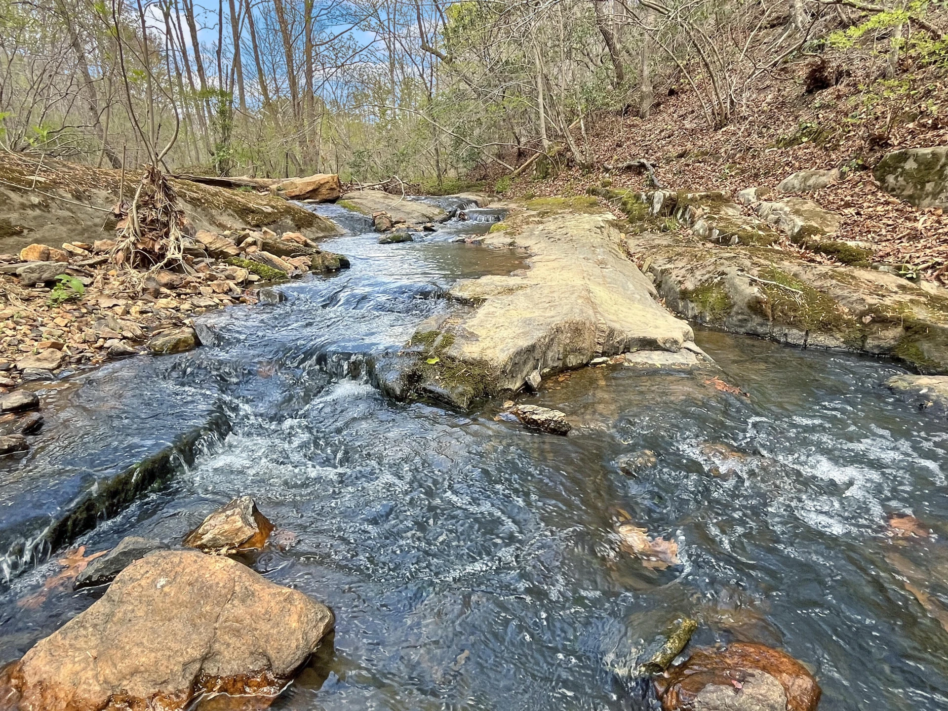 4178 Headens Bridge RD - Photo 106