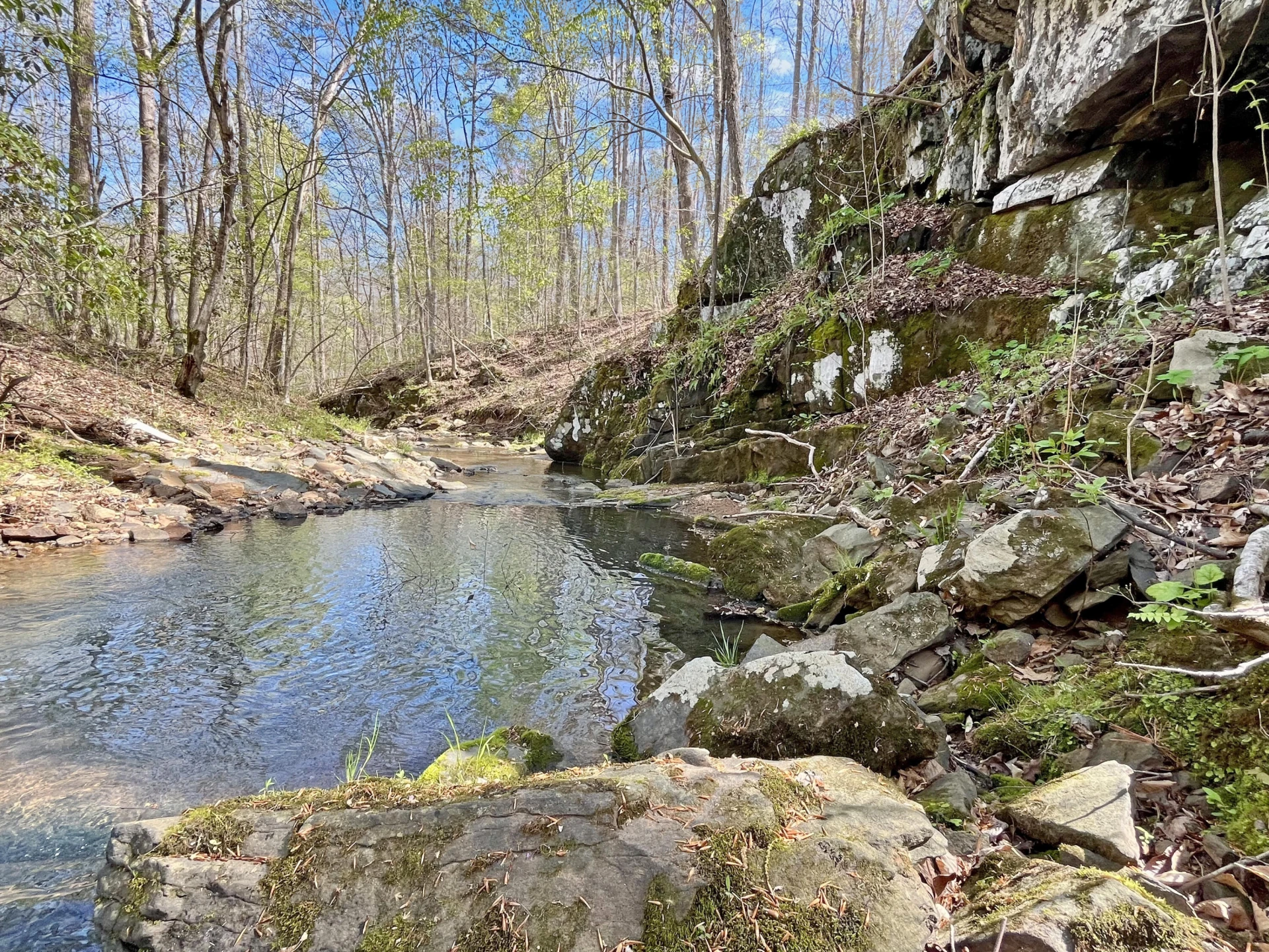 4178 Headens Bridge RD - Photo 107