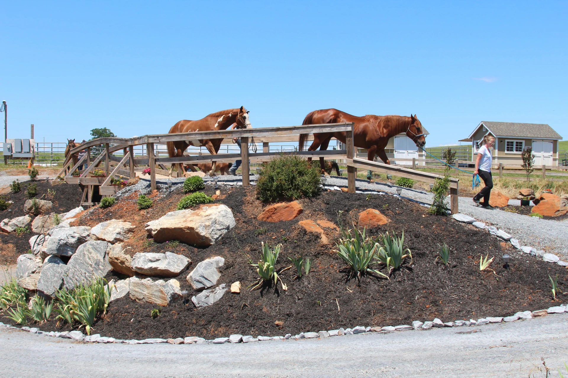4178 Headens Bridge RD - Photo 77