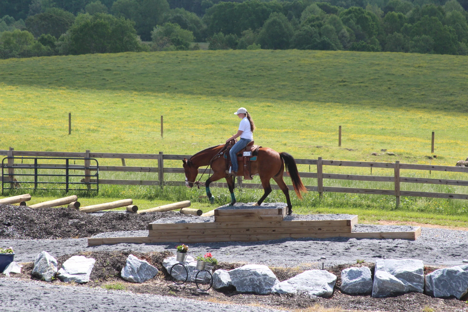 4178 Headens Bridge RD - Photo 81