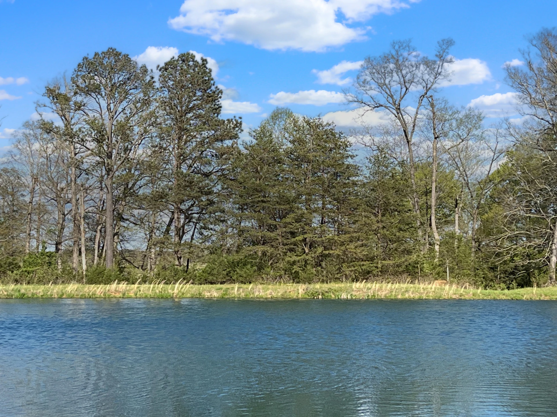 4178 Headens Bridge RD - Photo 95