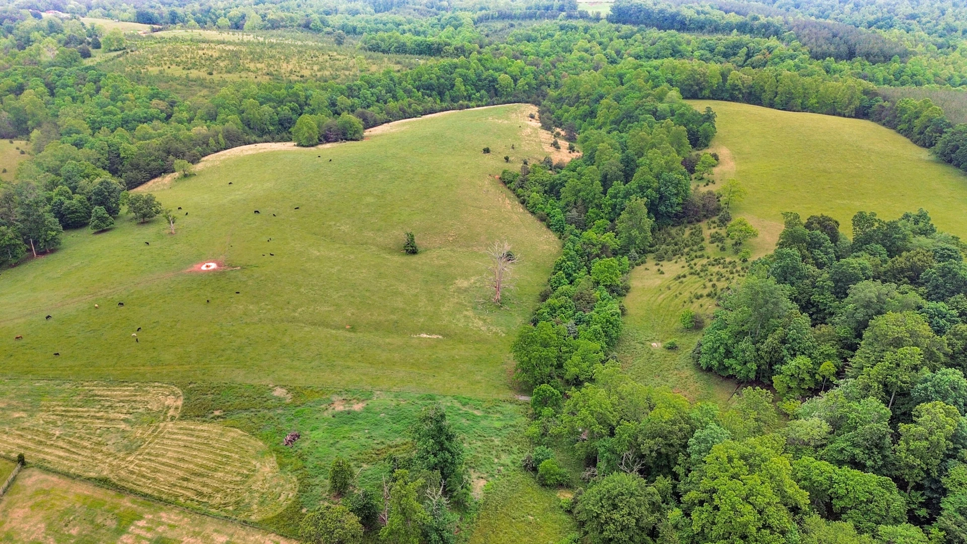 4178 Headens Bridge RD - Photo 99