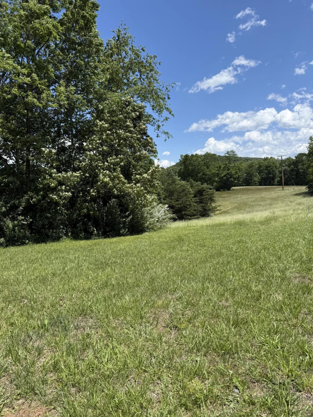 0 Goodview RD - Photo 2