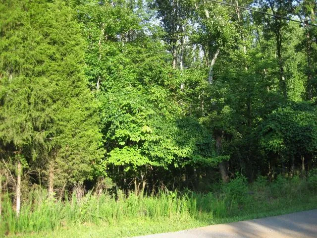 Lot 32 Old Mill DR