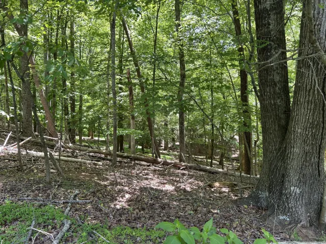 Lot 40 Old Mill DR