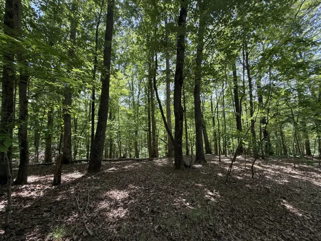 Lot 53 Hickory Woods LN