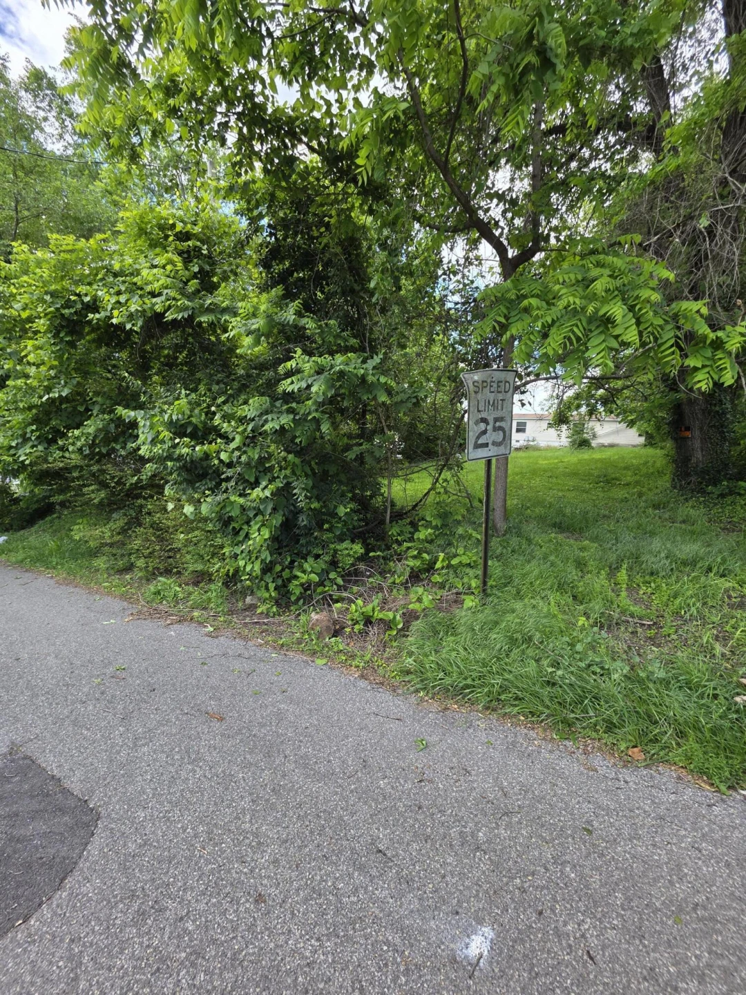 700 Walnut AVE - Photo 6