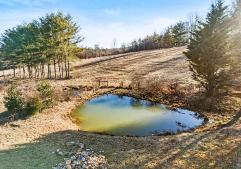 1101 Scratch Gravel RD - Photo 12