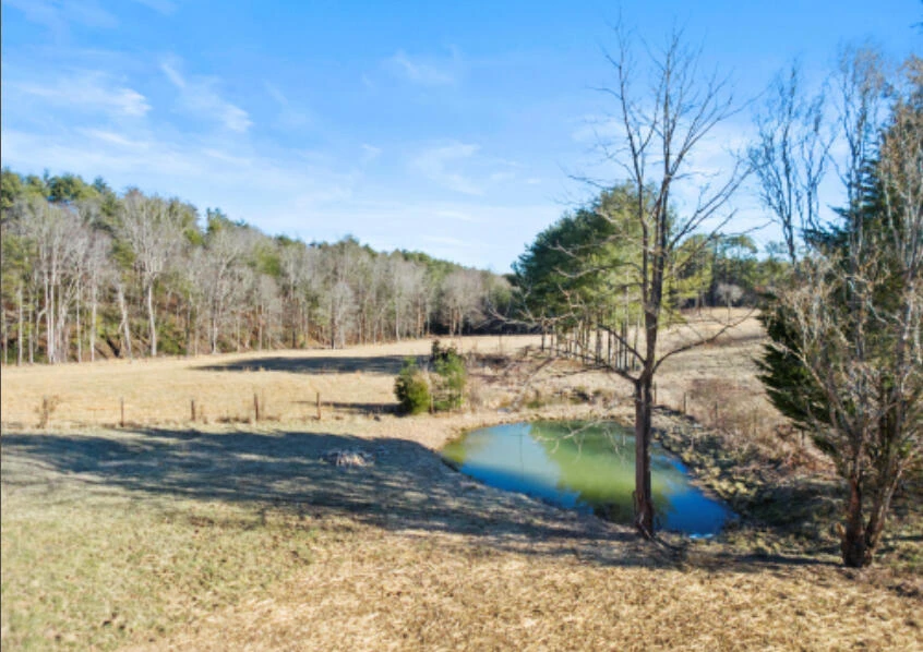 1101 Scratch Gravel RD - Photo 13