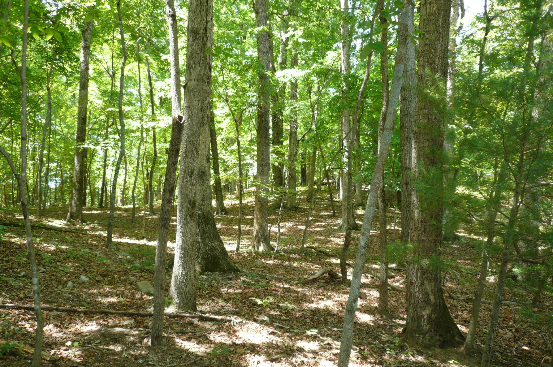 0 Givens Tyler RD - Photo 3