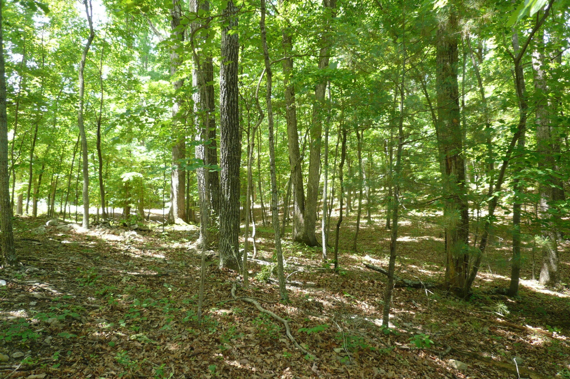 0 Givens Tyler RD - Photo 4